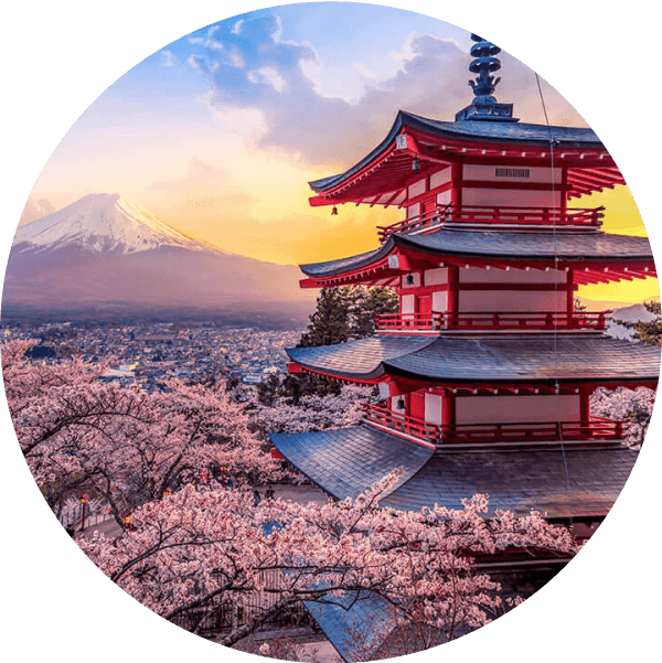 日本ランゲージエクスチェンジ